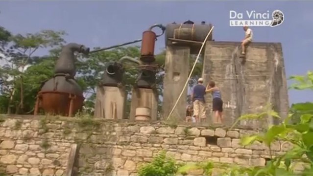 Дикая наука. Суровая наука