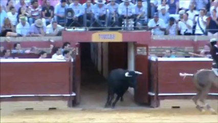 TRIUNFAL CIERRE DE COLOMBINAS