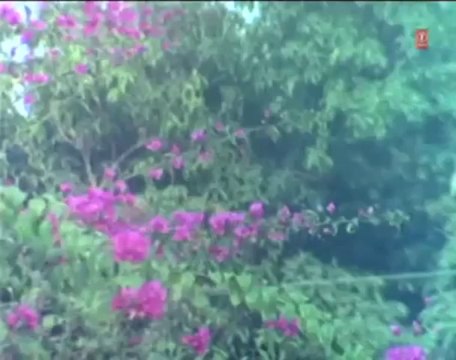 Kaahe Maara Taru Gori [ Bhojpuri Video Song ] Sanchi Piritiya Hamar