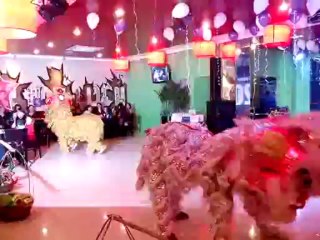 CHO THUÊ MÚA LÂN, DỊCH VỤ XIẾC THÚ, ẢO THUẬT TRUNG THU LH: 0968 168 724