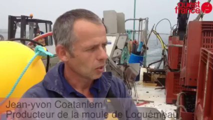 Embarquement avec Jean-Yvon Coatanlem, producteur des moules de Locquémeau - 06/08/2103