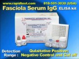 Fasciola serum IgG ELISA kit