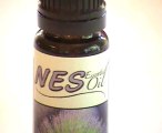 Presenting Our Lovely Lavender - Lavender Essential Oil