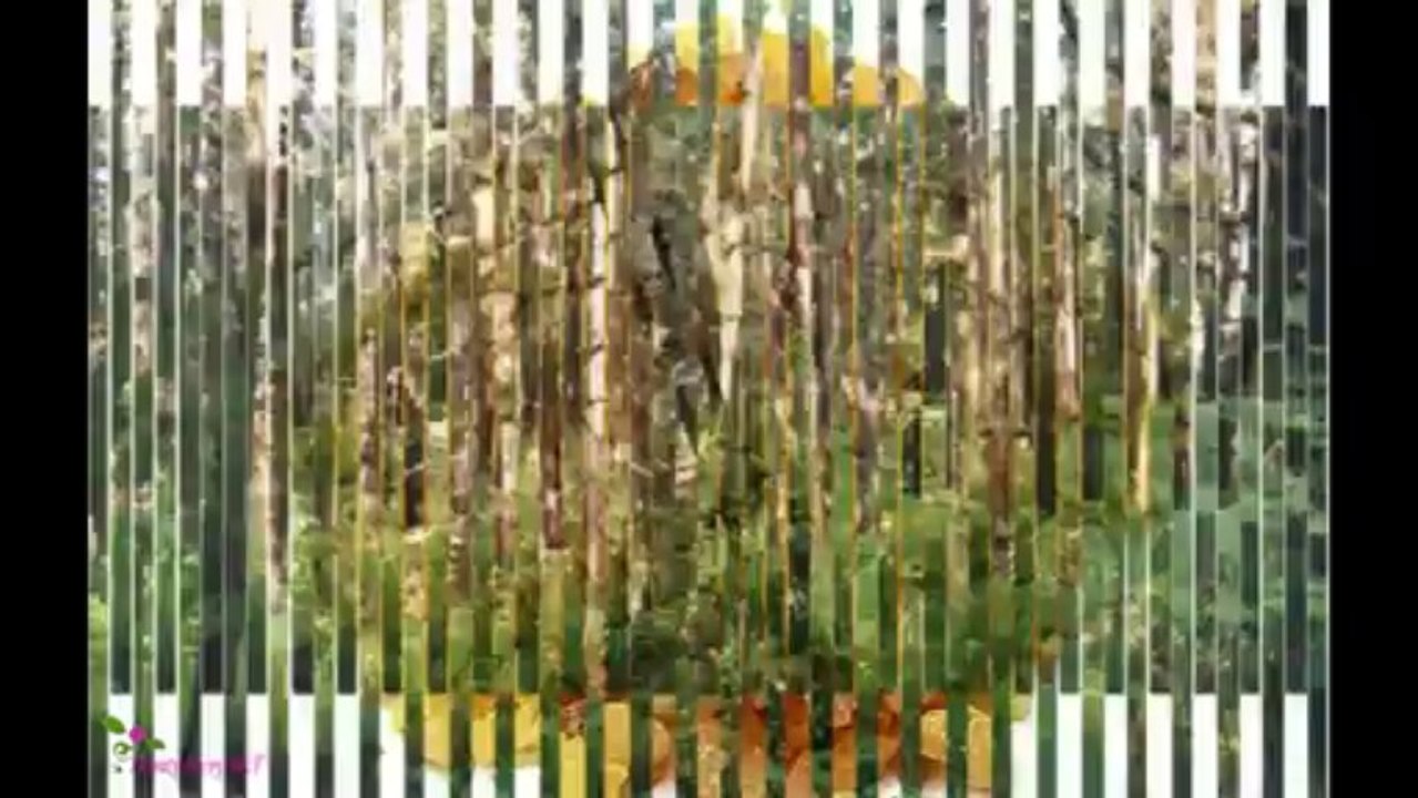 DIESEL Only The Brave Tattoo Άρωμα EDT