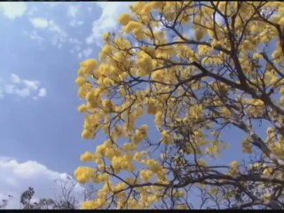 A construção de Rubem Alves