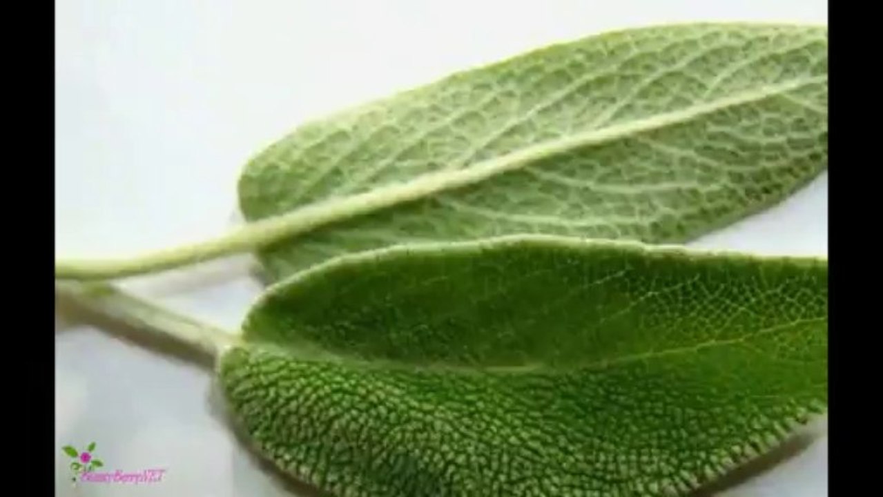 PACO RABANNE Black Xs Άρωμα EDT Σπρέυ