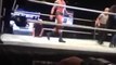 Catch - Randy Orton attaqué par un fan completement fou - Coup dans les parties.