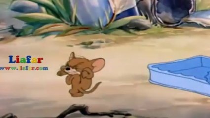 Tom ve Jerry - Tatil