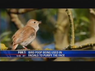 FOX 5 News New York Investigates the Skin Purifying Nightingale Dropping Facial