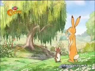 O Kadar Seviyorum Ki - Yuvanın Tüyleri - Trt Çocuk