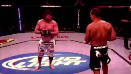 Roy Nelson Highlights