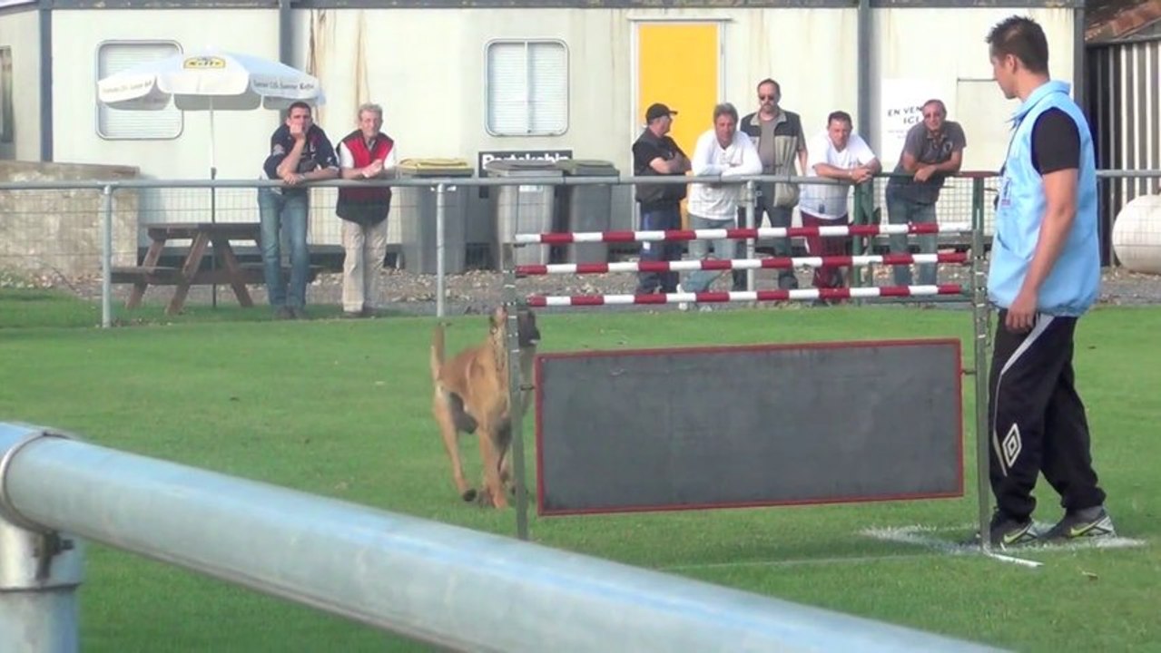 Gipps concours de Bruay sur Escaut