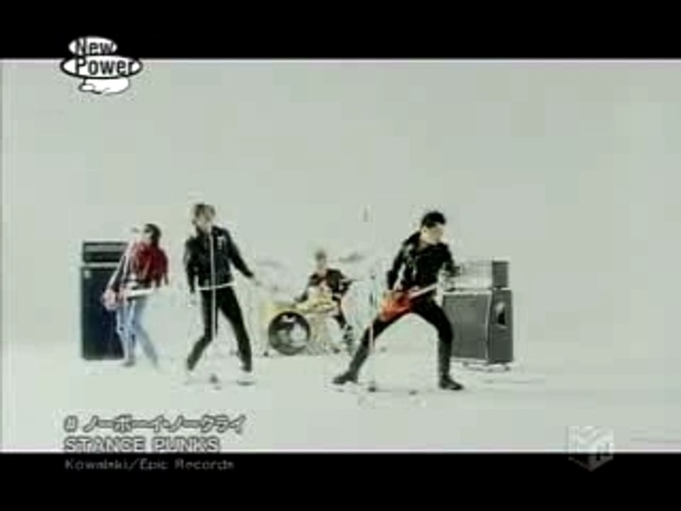 STANCE PUNKS - No Boy No Cry