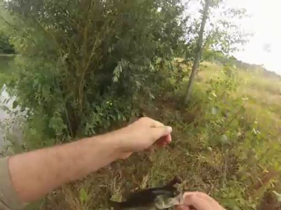 black Bass 27-07-13