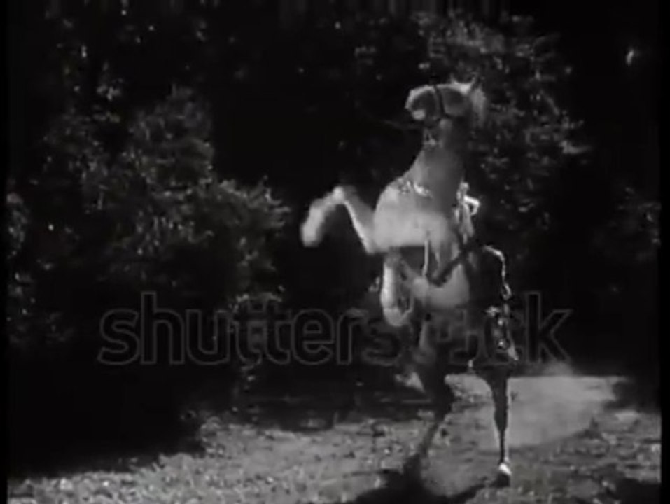 Rope Horse