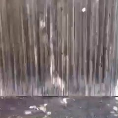 Vine app-how to boil eggs