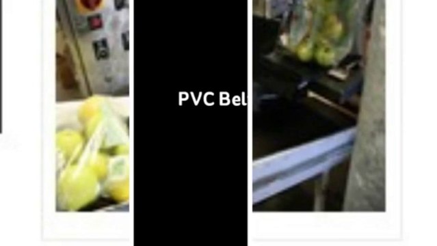 Fish Conveyor Belt,Vegetable Conveyor Belt