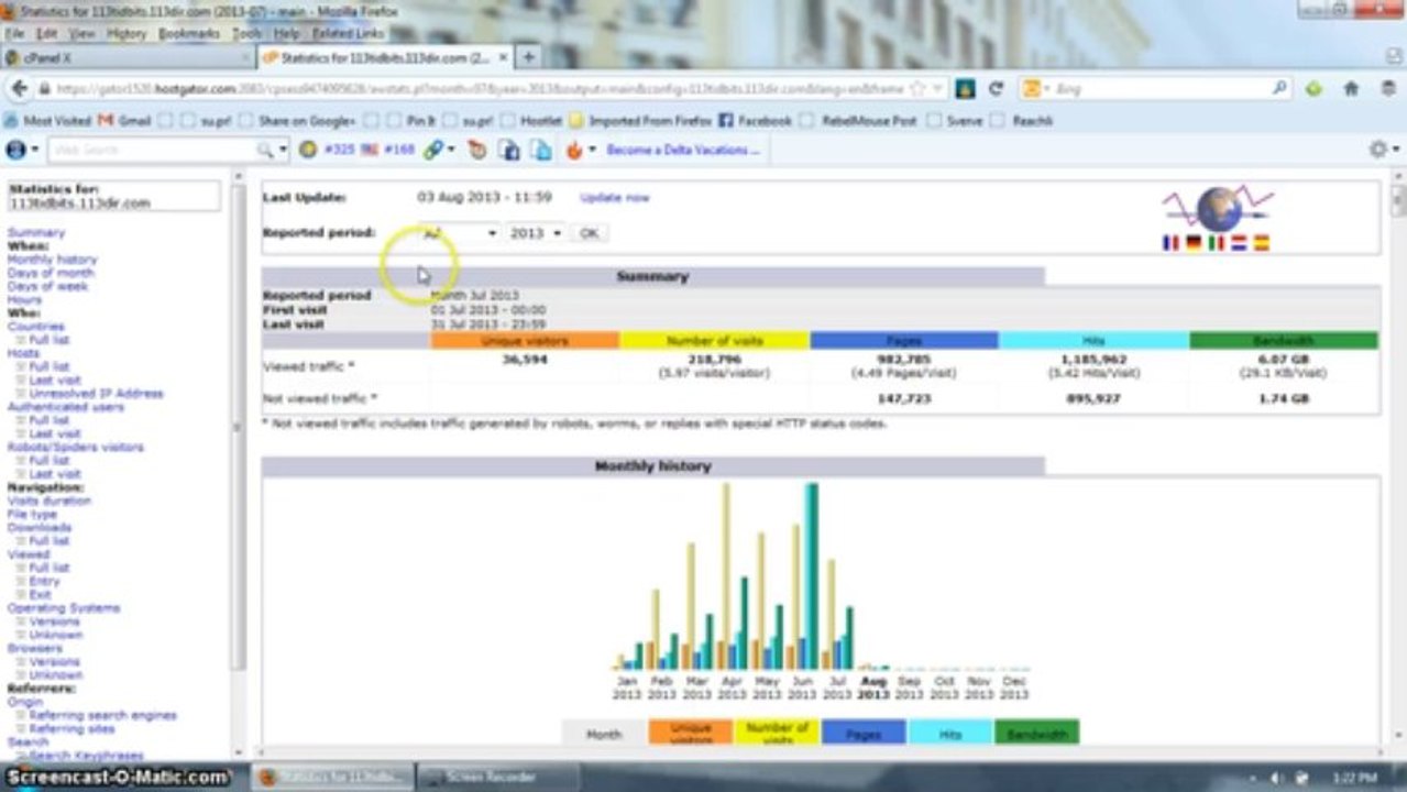 Traffic for July 2013 for 113tidbits.com