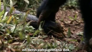 BBC Earth - Africa 1-Kalahari
