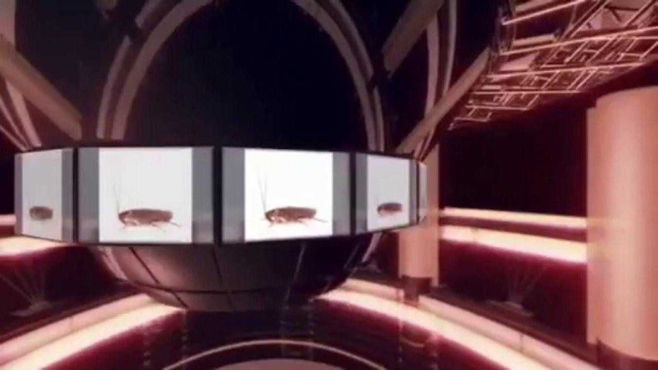 Al's Pest Control Service Inc - (972) 932-7844