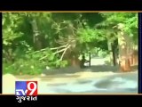 Tv9 Gujarat - IAF rescues four men in Hogenakkal