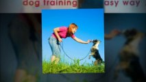Dog Training in Brisbane – Helping You Train Your Dog the Right Way | 1300 306 887