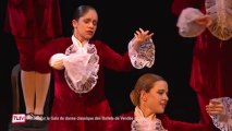 Retour sur le gala des ballets de Vendée Daily