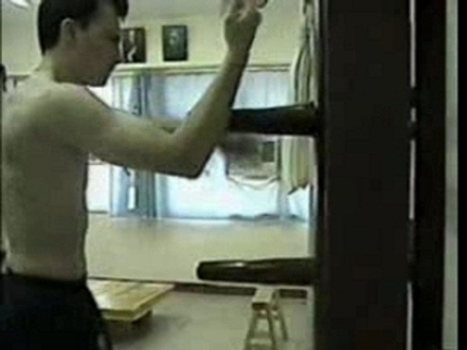 francewingchun_Dummy