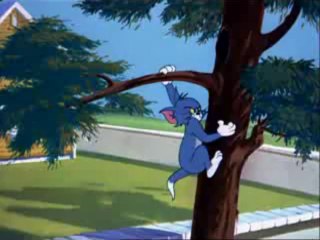 Tom ve Jerry Minik Köpek Yavrusu