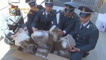 Ancona - La Gdf sequestra marijuana (05.08.13)