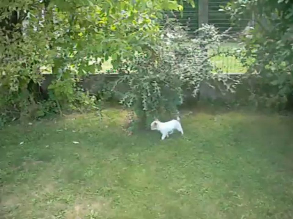 6 août 2013 : 3 mois et demi