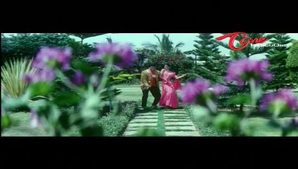 Athaa Nee Koothurekkada Movie Songs | Chengu Chengu Cheera| Jr Balakrishna | Mayuri