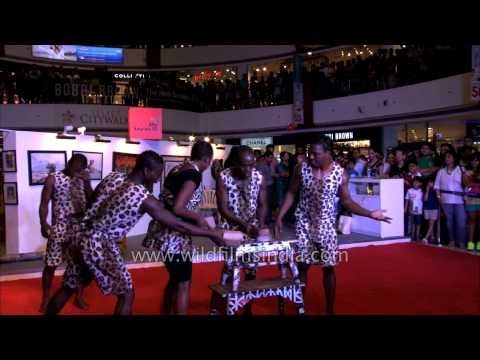 Upside down on a chair - African Acrobats