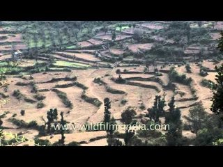 Terrace farming on the mountain slopes of Uttarakhand