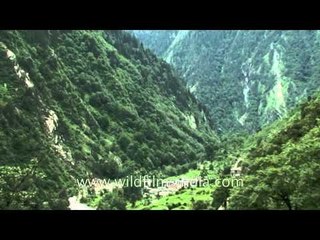 Lush green Uttarakhand