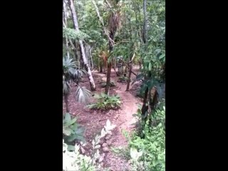 Property in Belize |The Canals at Mango Creek |904-321-9290