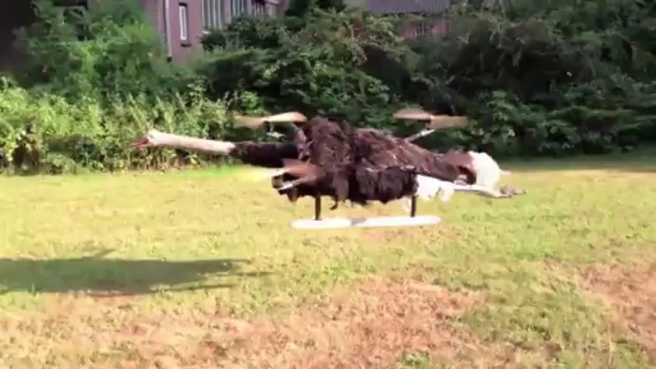 Il transforme une autruche en hélicoptère