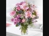 Floraqueen - Flores Rosas