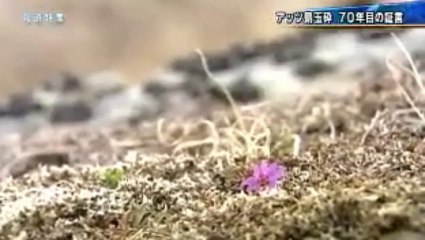 玉砕神話の原点 アッツ島を行く