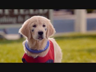 SUPER BUDDIES [ HD] movie online free