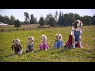 SUPER BUDDIES Free Movie [HD]