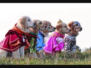 SUPER BUDDIES Full Movie Online[HD]