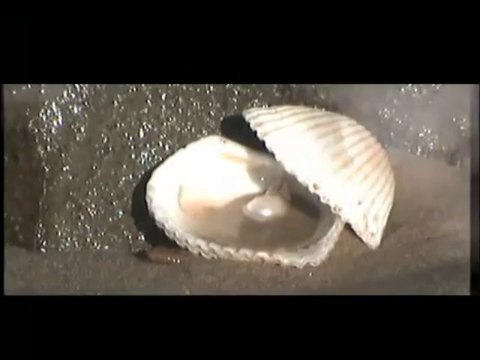 İnci Taneleri 1 Mayıs Salı 16.25'te TRT Okul'da