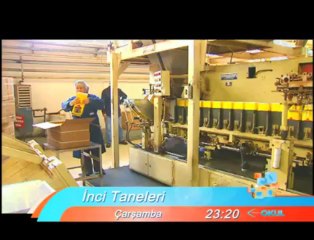 İnci Taneleri 23 Mayıs Çarşamba 23.20'de TRT Okul'da