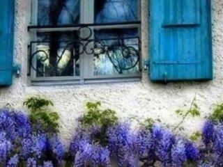 Tristesse Danielle Licari