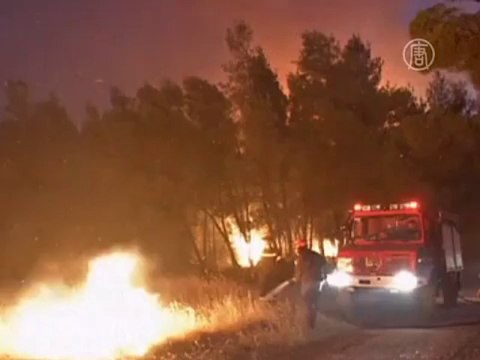 Десятки греков эвакуированы из-за лесного пожара