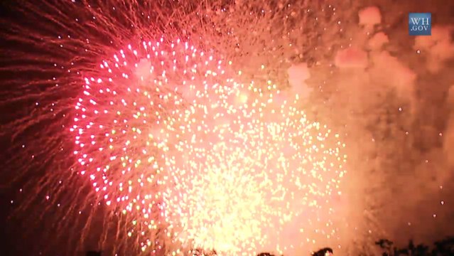 Fireworks Finale At The White House