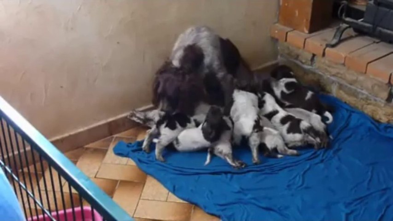 PORTEE D EMERAUDE LE 03 AOUT 2013