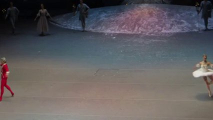 Анжелина Воронцова / Николай Цискаридзе - "Щелкунчик"  31.12.2012