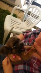 J51. Igloo dans mes bras